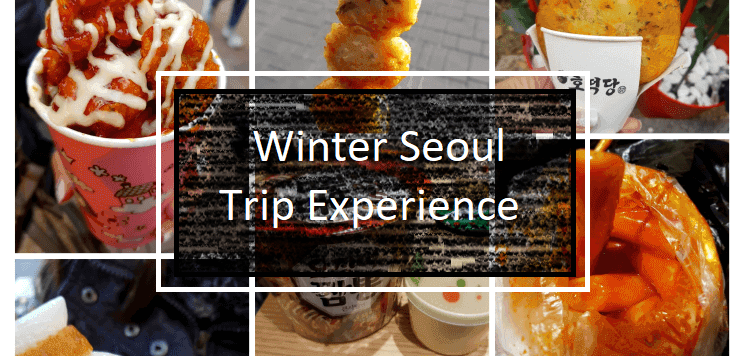 Winter Seoul Trip Experience