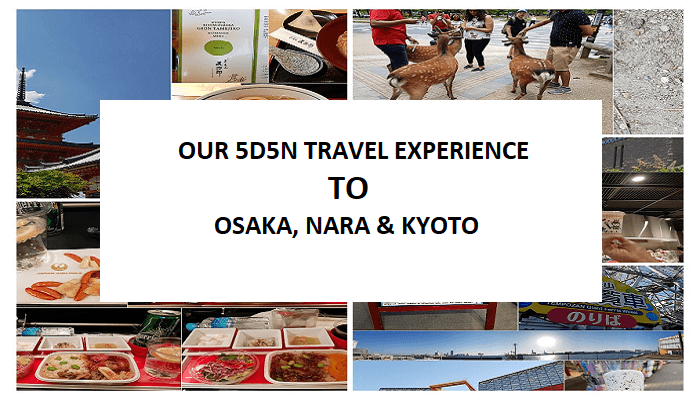 Osaka Travel Experience