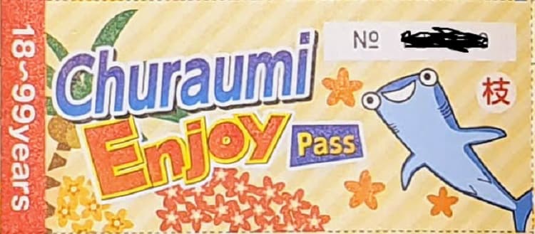 Churaumi Enjoy Pass - Is It Worth It?