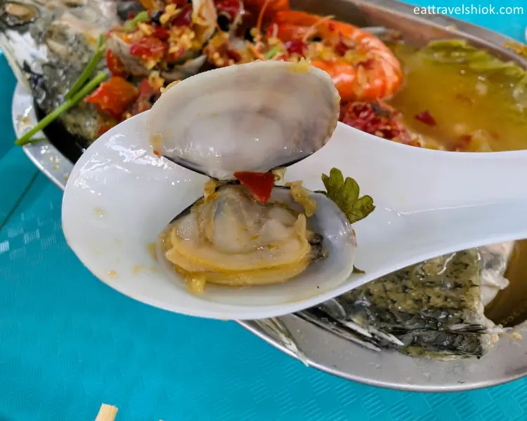 TOTOFISH 多多魚 7 Lala